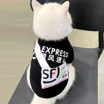 OIMG猫咪衣服快递外卖背包薄款英短布偶蓝猫银渐层幼猫宠物狗狗搞笑装 发财醒狮头